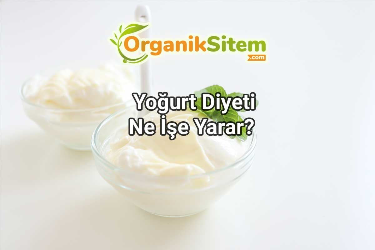 Yoğurt Diyeti Ne İşe Yarar?