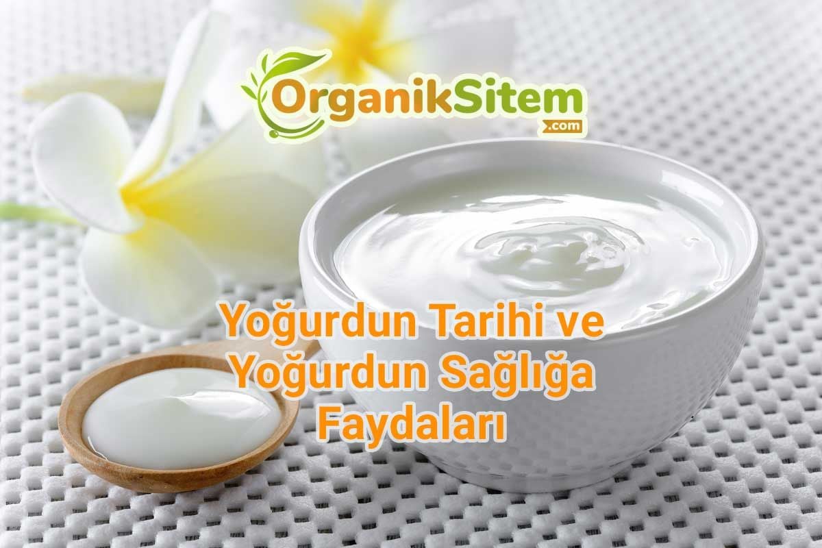Yoğurdun Tarihi ve Yoğurdun Sağlığa Faydaları