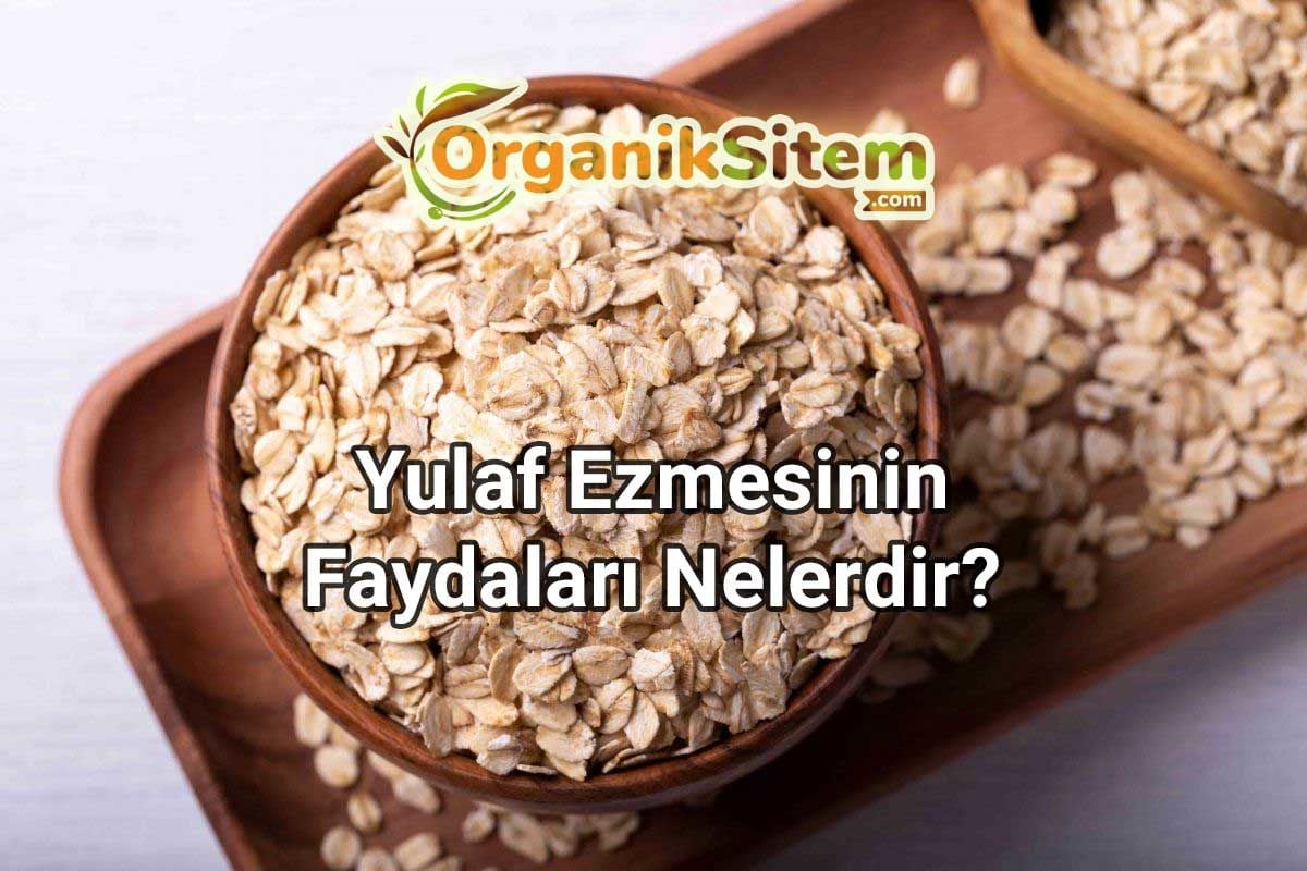 Uzun Süre Tok Tutmasıyla Bilinen Yulaf Ezmesinin Faydaları Nelerdir?