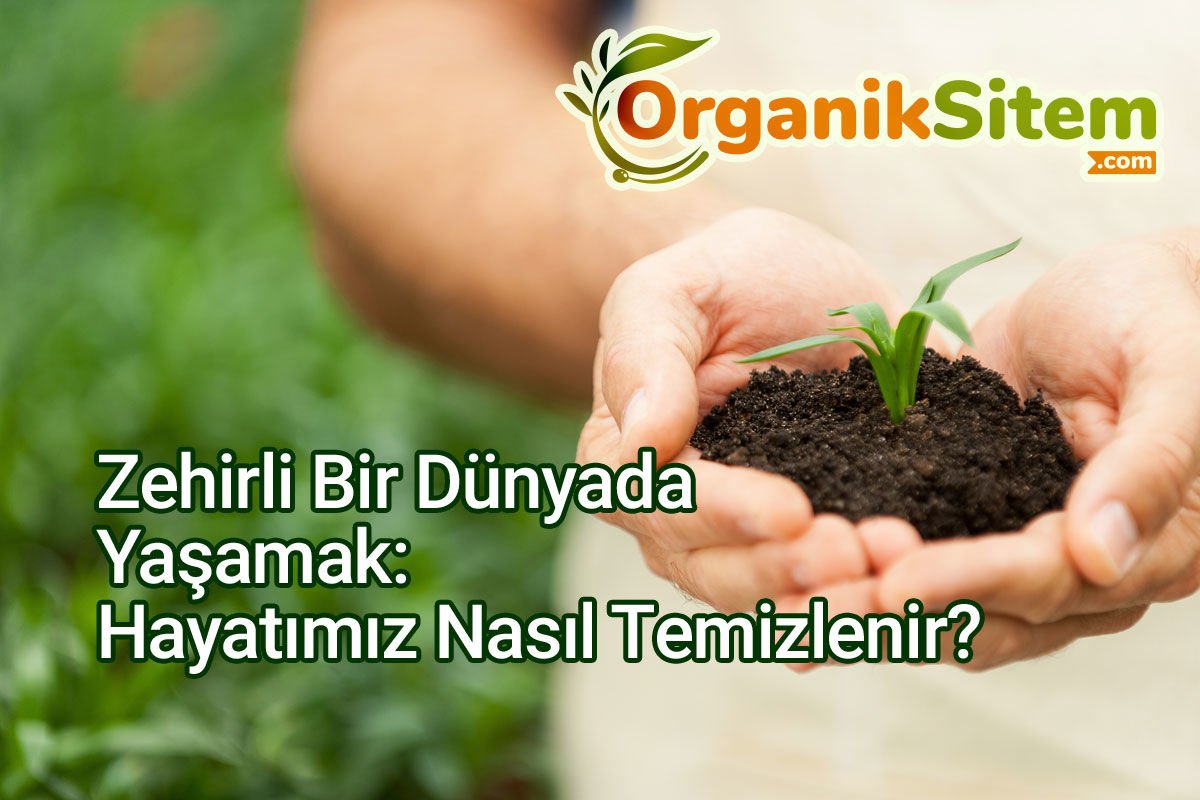 Zehirli Bir Dünyada Yaşamak: Hayatımız Nasıl Temizlenir?