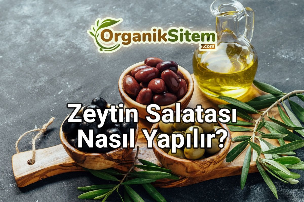 Zeytin Salatası Nasıl Yapılır?