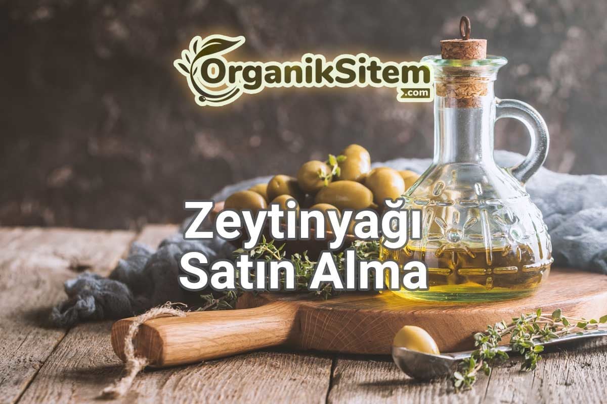 Zeytinyağı Satın Alma: Kalite, Dereceler, Mükemmellik ve Satış Fikirleri