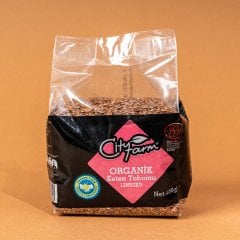 City Farm Organik Keten Tohumu 250 gr